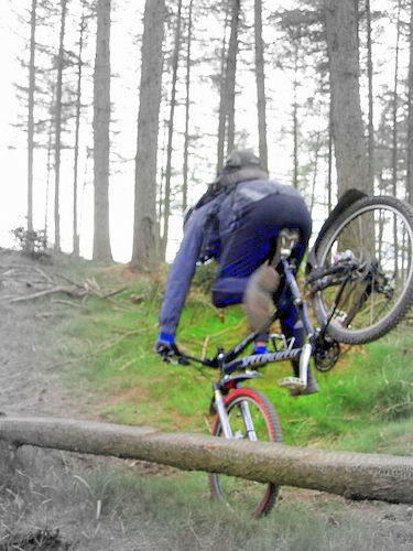 3sheds "off" in 7stanes